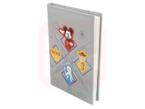 Agenda 2024 Disney 100